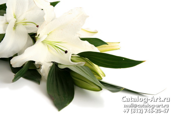 White lilies 5
